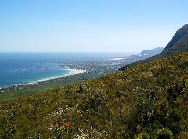 Betty's Bay